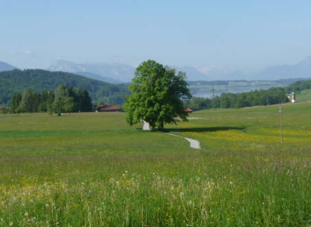 Via Nova Pilgerweg Neumarkt am Wallersee