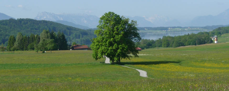 Unterknfte am Wallersee